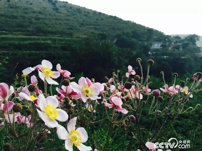 一起見(jiàn)證中國脫貧奇跡 共同實(shí)現鄉村振興